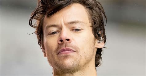 Harry Styles Reveals The Penis Clause He Had In His Film Contract